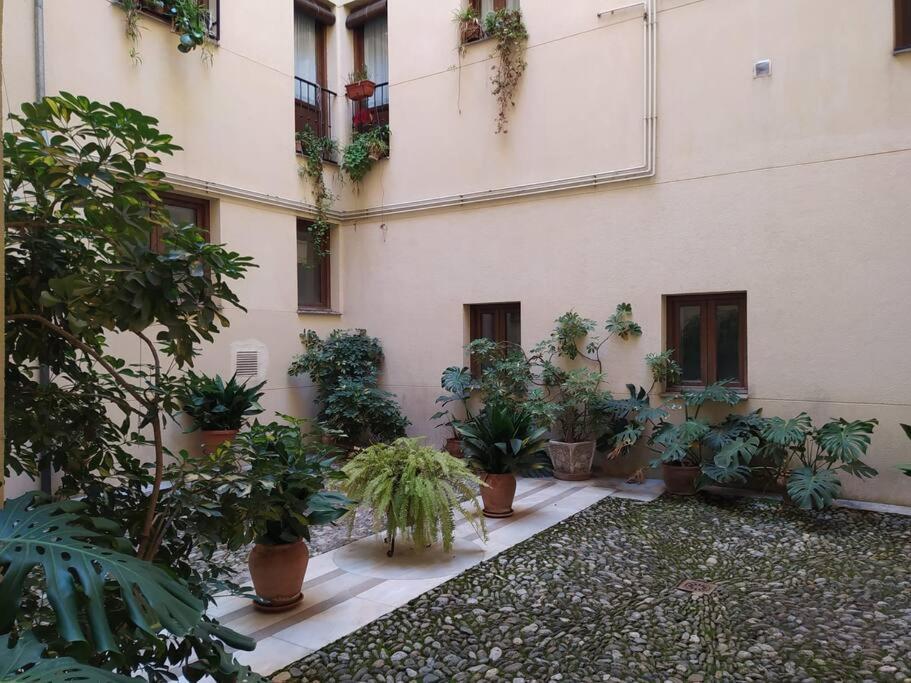 4 Balconies House, Central And Near The Alhambra Granada Exterior foto